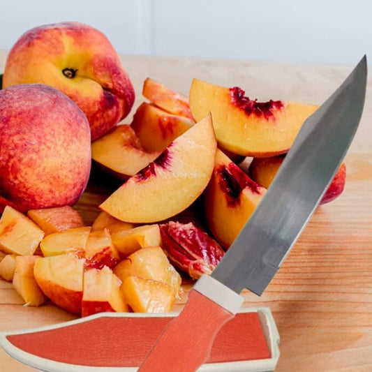 Stainless Steel Knives with Cover – Pack of 6