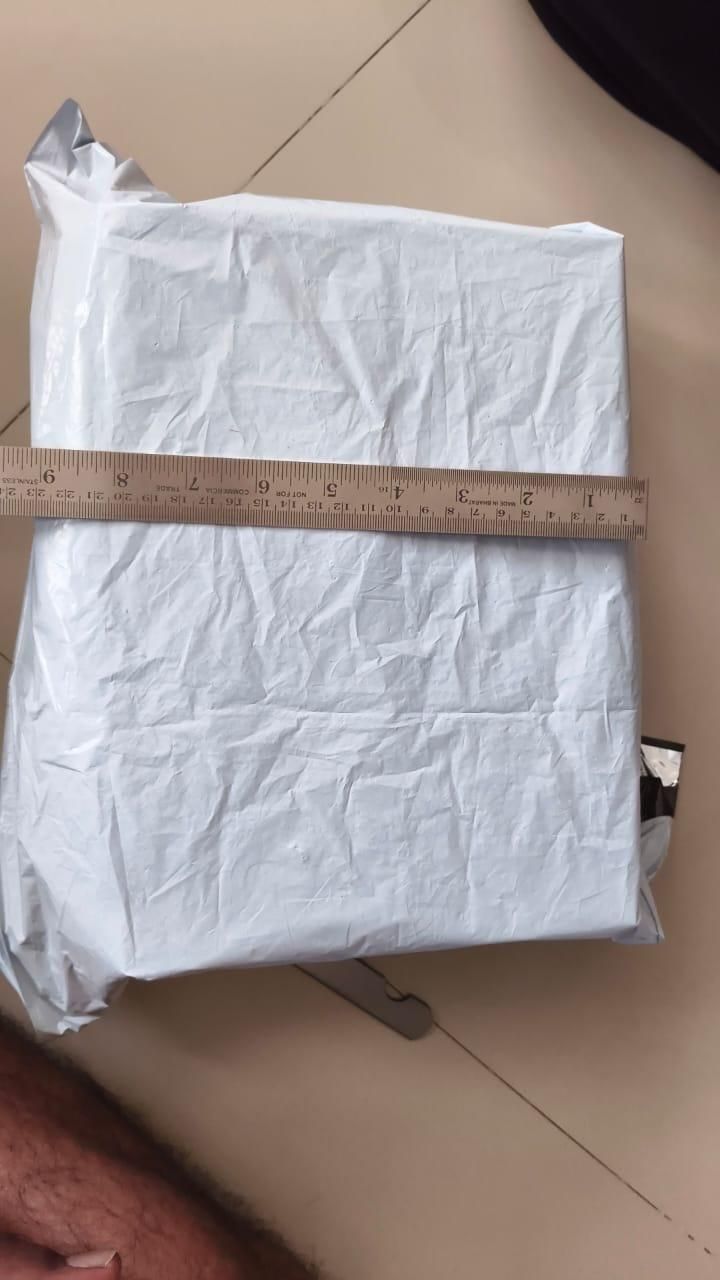 Duck Track Toy for Kids – Small Duck Climbing Activity Toy