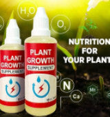 PlaPlant